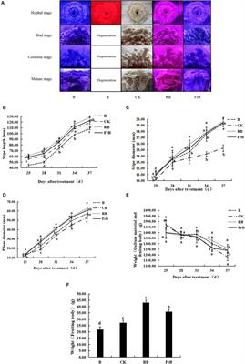 The development and nutritional quality of Lyophyllum decastes affected by monochromatic or mixed light provided by light-emitting diode